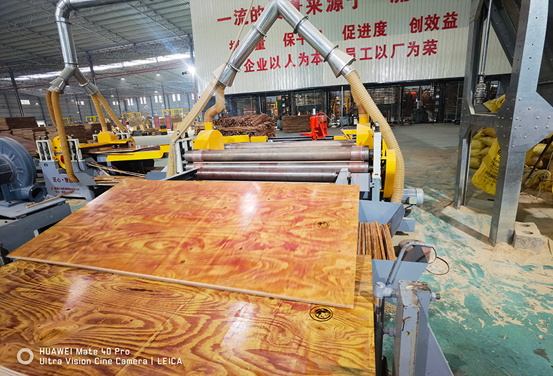 �޽�ר��ģ��