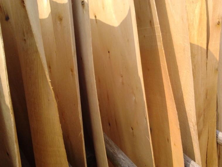 ����ĵ���