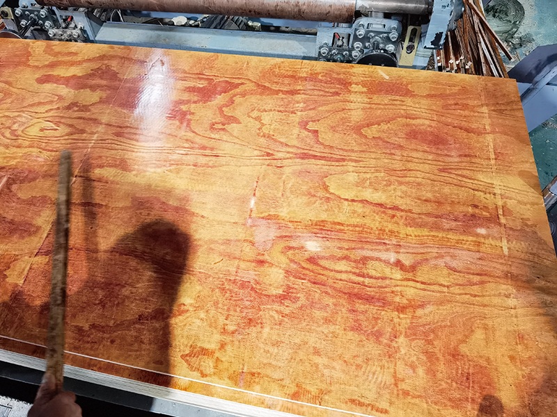 ����С����Ǯ