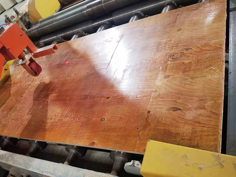 �޽�ģ��רҵ��������