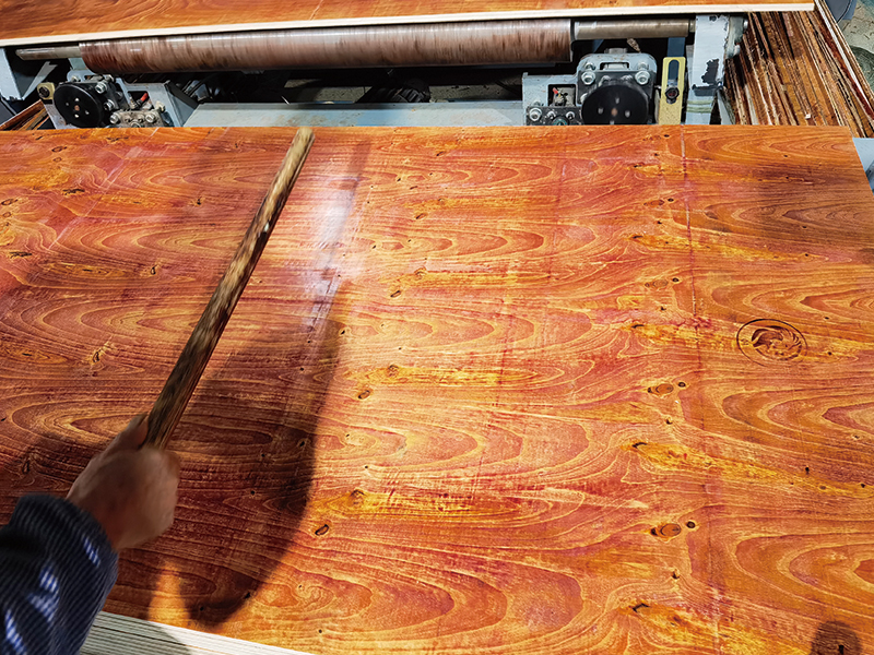 �����޽�ģ�峧